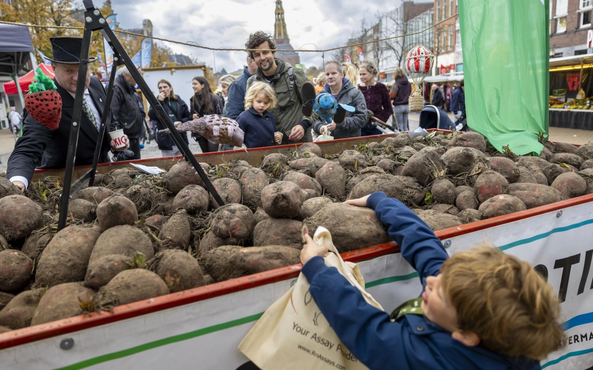 Distribution of Fodder Beets